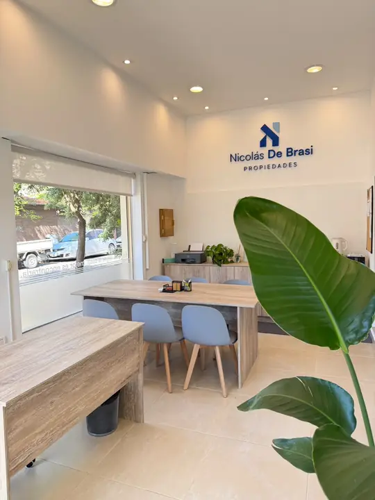 Ambiente con plantas y luz natural